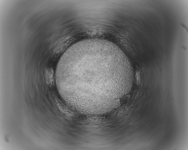 X0000101970963200808011127