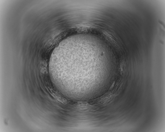 X0000101970964200808011127