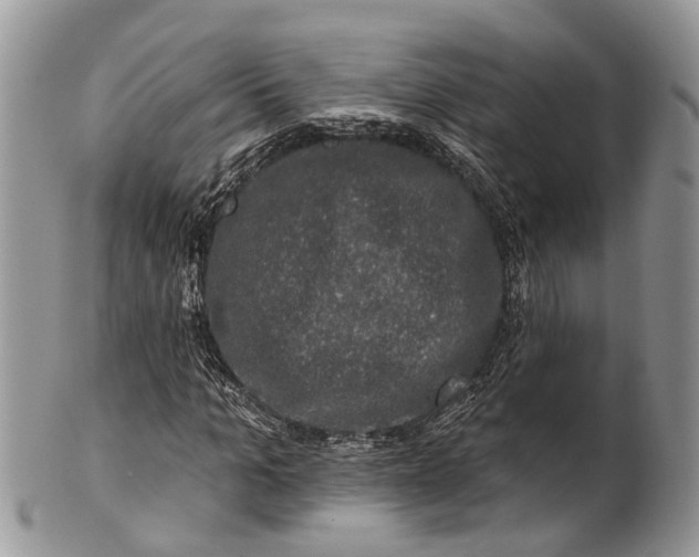 X0000101970965200808011127