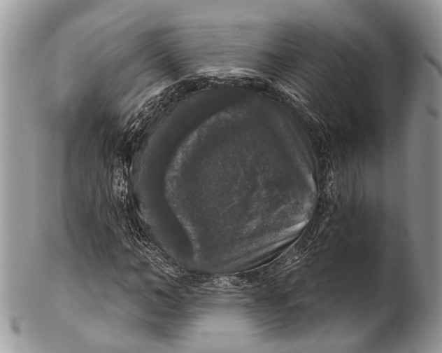 X0000101970966200808011127