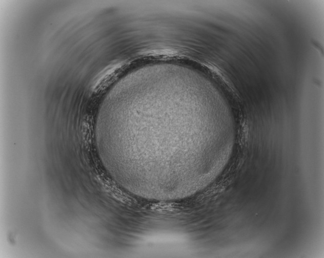 X0000101970967200808011127