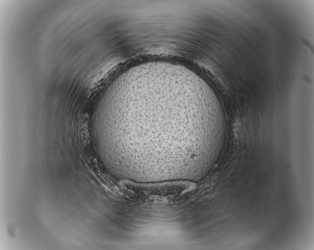 X0000101970968200808011127