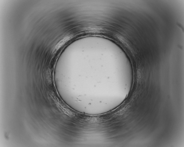 X0000101970970200808011127