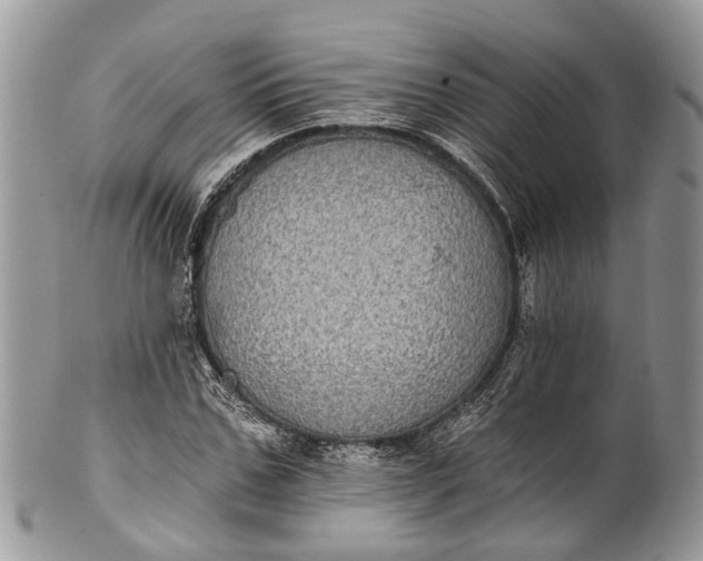 X0000101970971200808011127