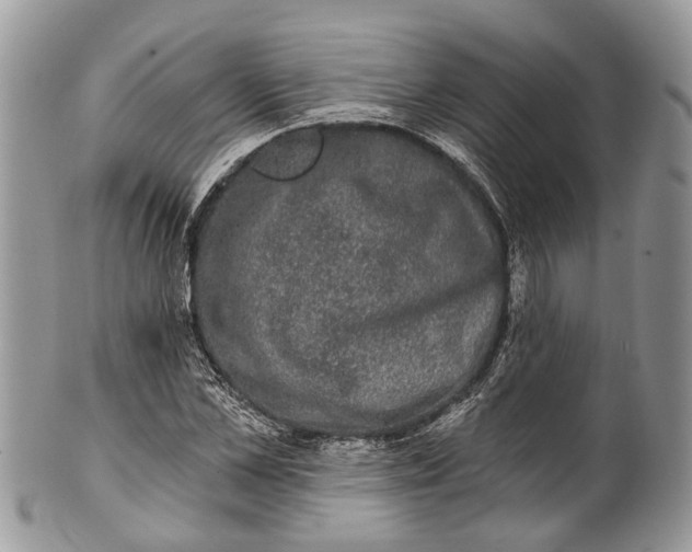 X0000101970973200808011127