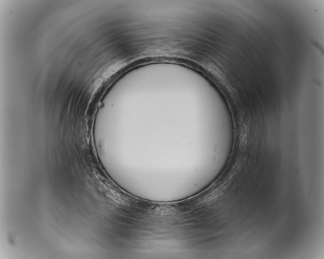 X0000101970974200808011127
