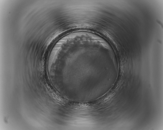 X0000101970975200808011127