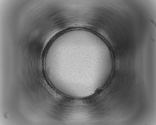 X0000101970976200808011127