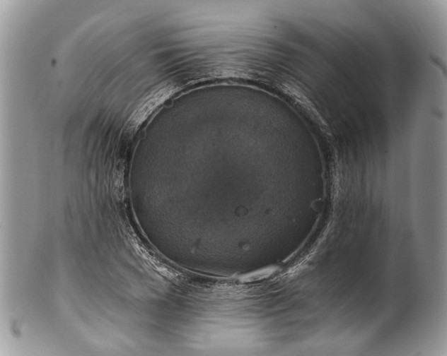 X0000101970977200808011127