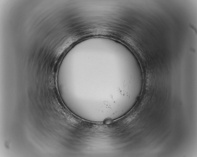 X0000101970978200808011127