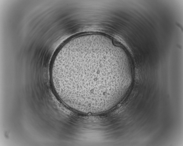 X0000101970980200808011127