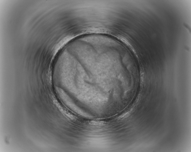 X0000101970981200808011127