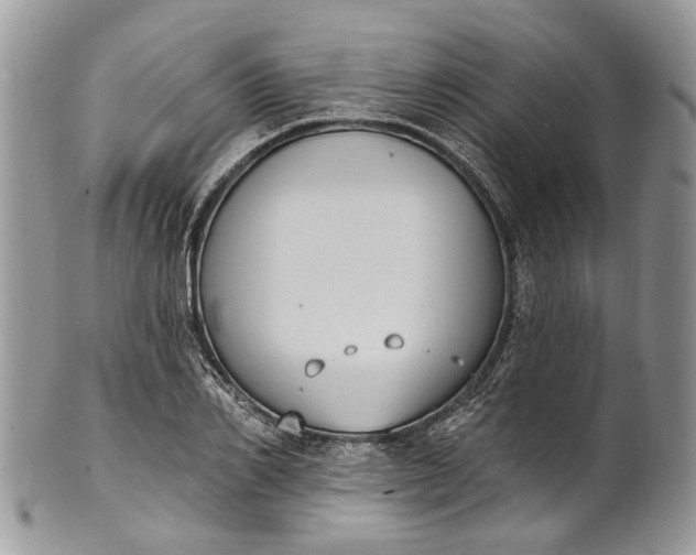 X0000101970982200808011127