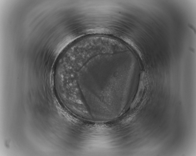 X0000101970983200808011127