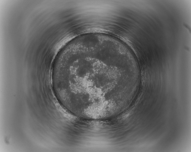 X0000101970987200808011127