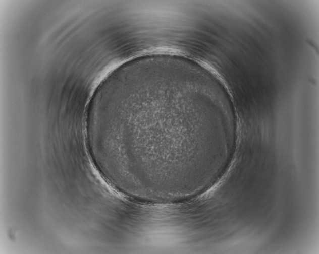 X0000101970989200808011127