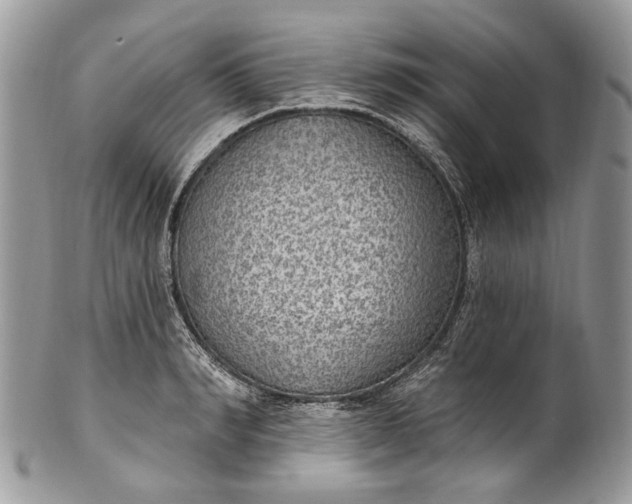 X0000101970990200808011127