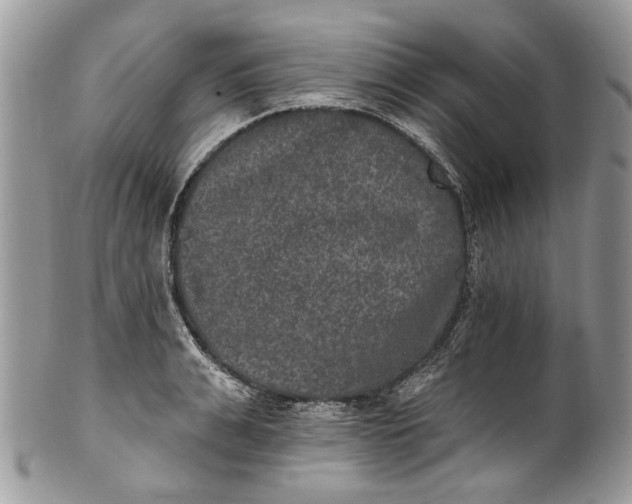 X0000101970991200808011126