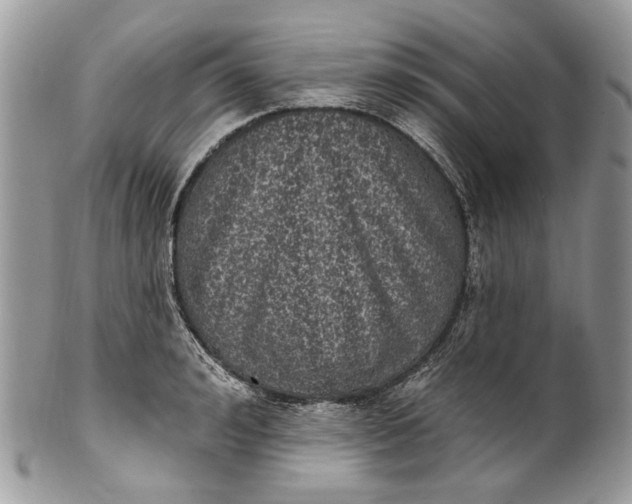 X0000101970992200808011126