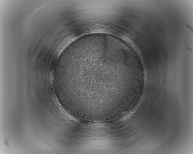 X0000101970993200808011126
