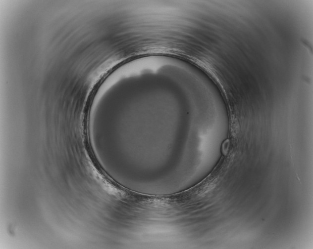 X0000101970995200808011126