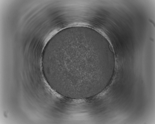 X0000101970997200808011126