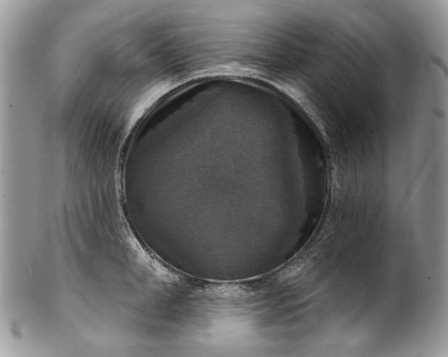 X0000101970998200808011126