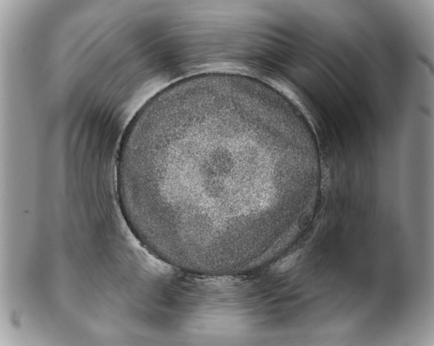 X0000101970999200808011126
