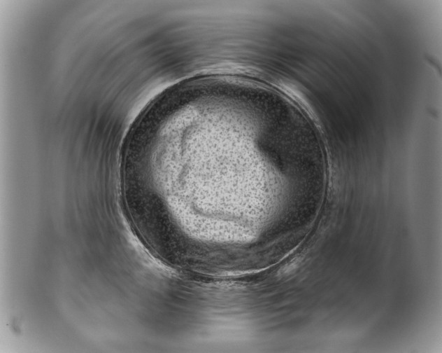 X0000101971000200808011126