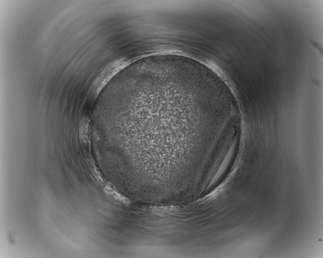 X0000101971001200808011126