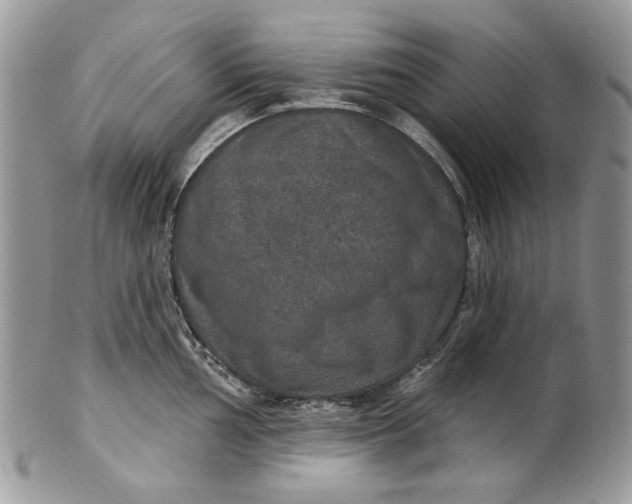X0000101971002200808011126