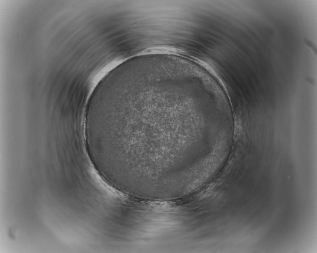 X0000101971003200808011126