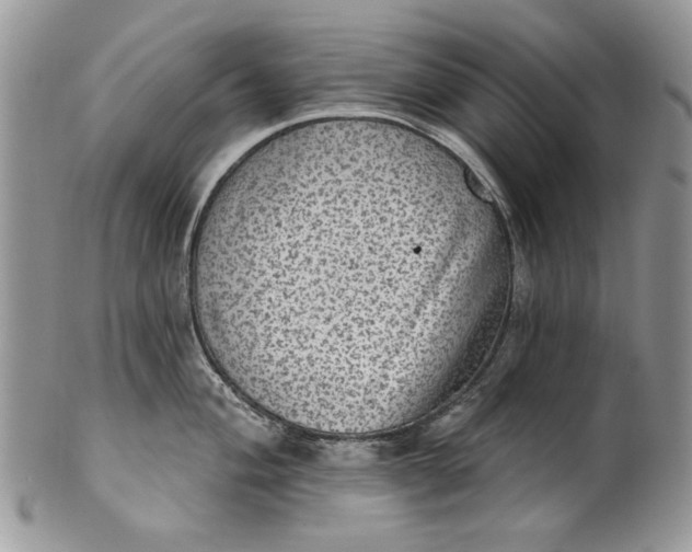 X0000101971004200808011126