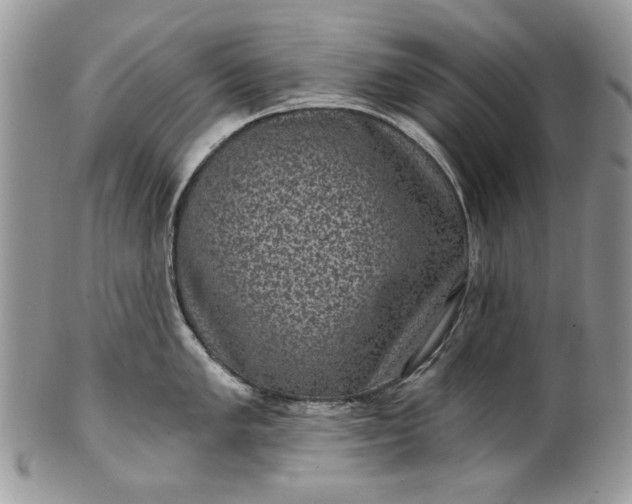 X0000101971005200808011126
