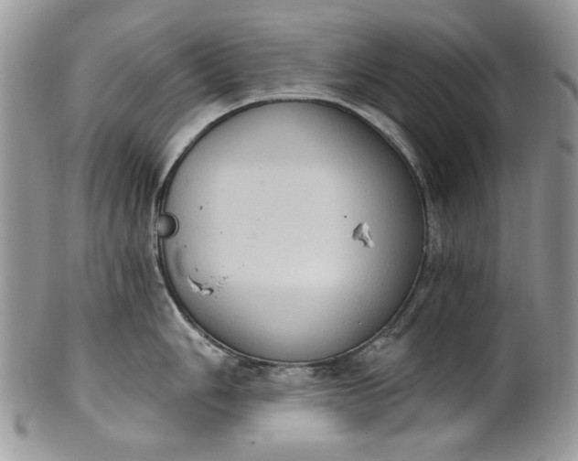 X0000101971006200808011126