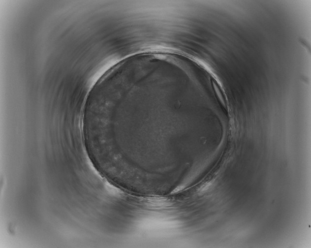 X0000101971007200808011126