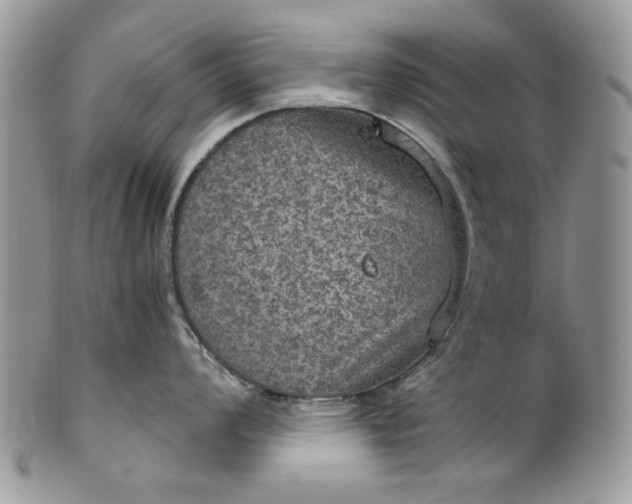 X0000101971008200808011126