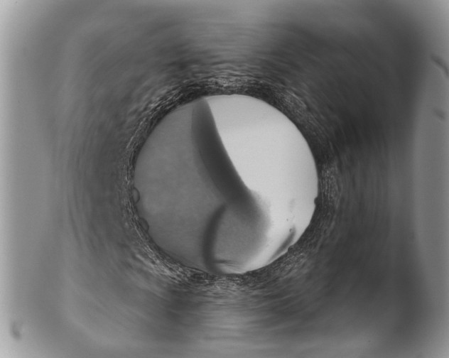 X0000101971009200808011126