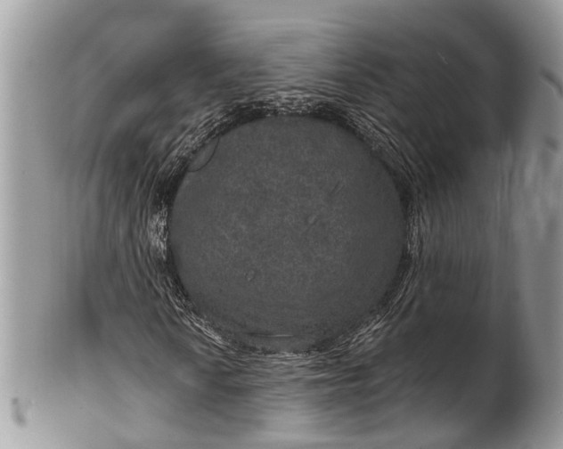 X0000101971010200808011126