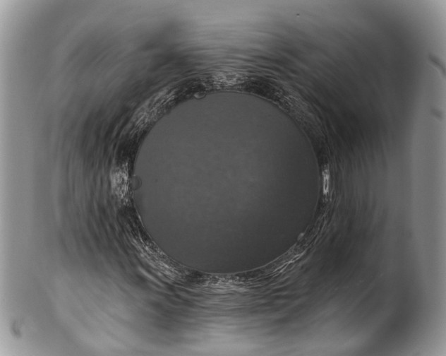 X0000101971011200808011126
