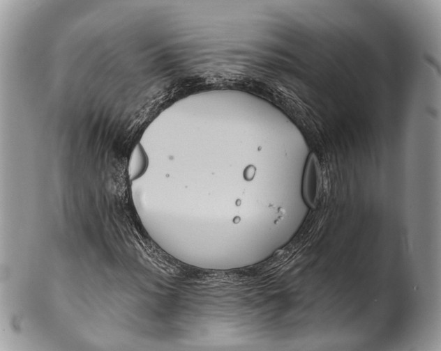 X0000101971012200808011126