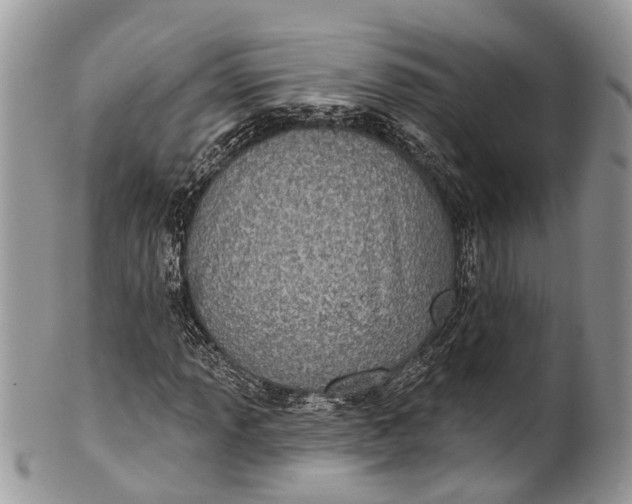 X0000101971013200808011126