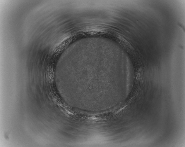 X0000101971014200808011126