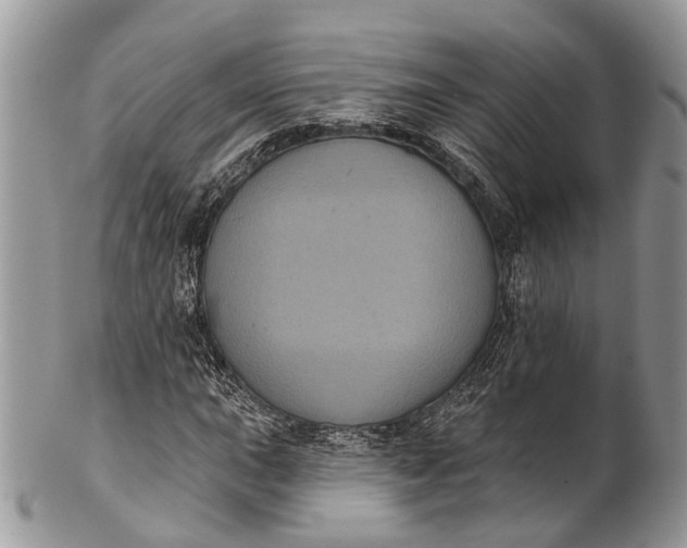 X0000101971015200808011126