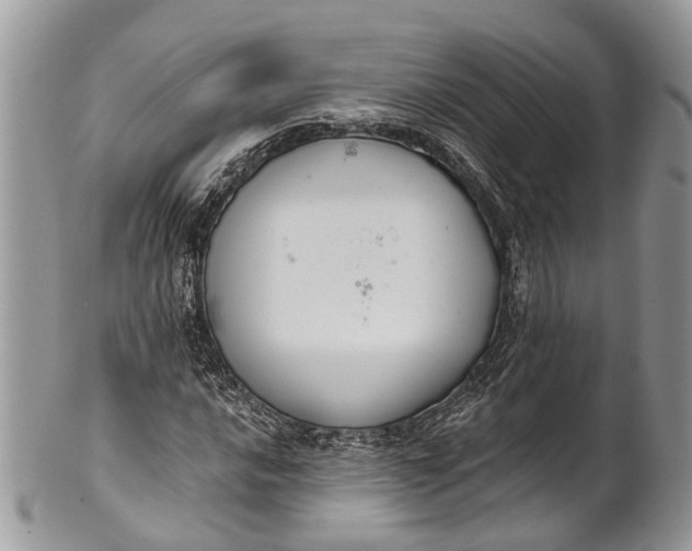 X0000101971016200808011126