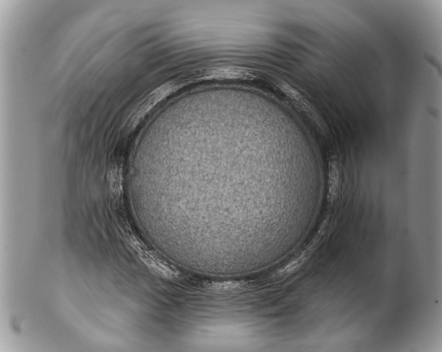 X0000101971017200808011126