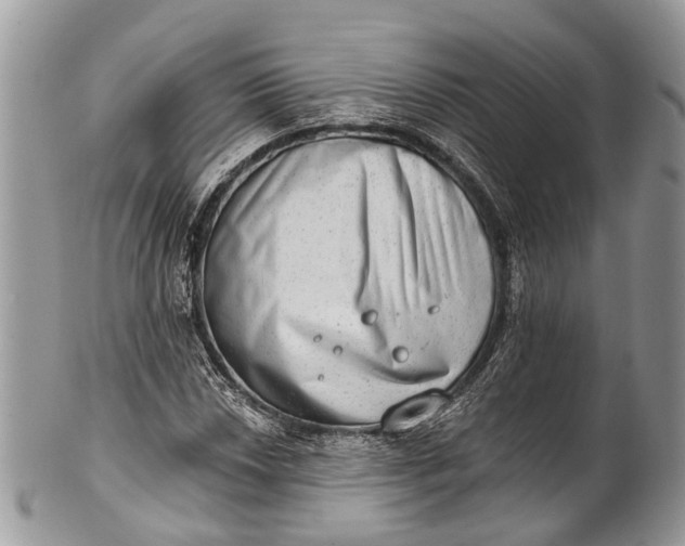 X0000101971018200808011126