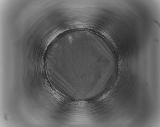 X0000101971023200808011126