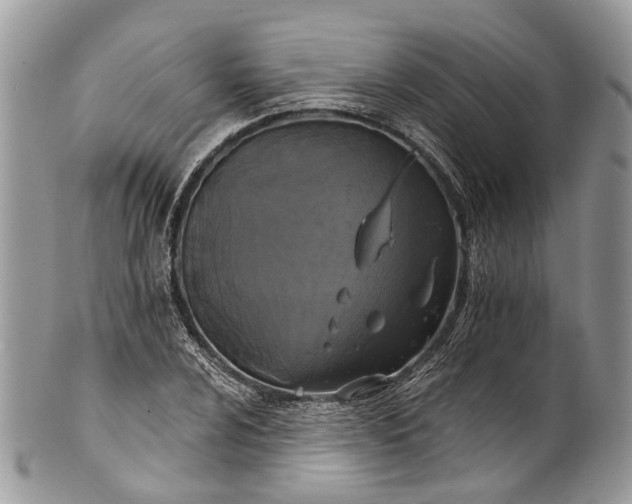 X0000101971024200808011126