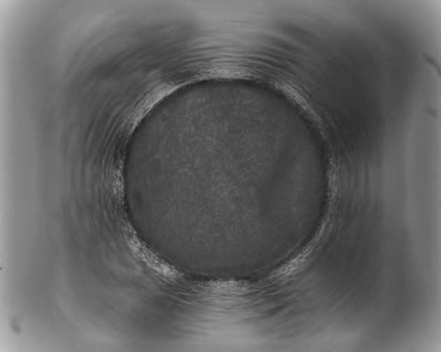 X0000101971025200808011126